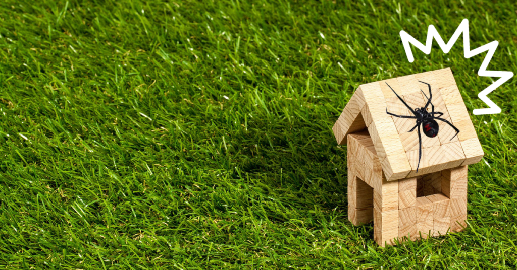 Lawn Pests & Weeds in El Paso: Protecting Your Outdoor Space This Summer