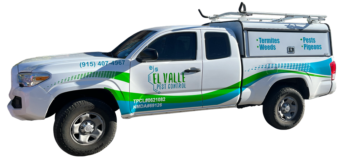 Commercial Pest Control El Paso