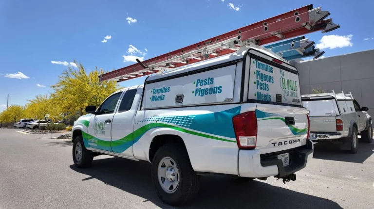 Pest Control Socorro, TX