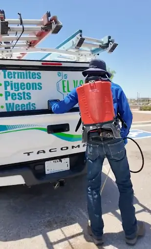 Pest Control Socorro TX